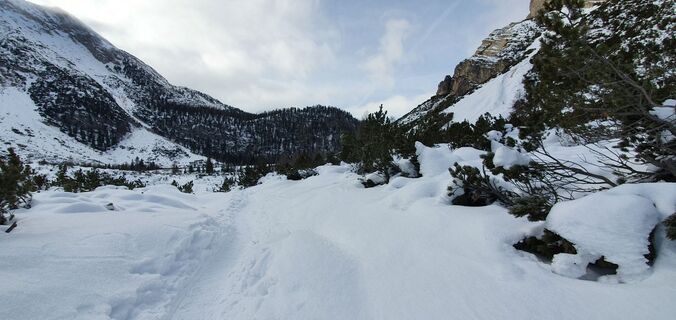 Foto de Johmax61 a lo largo del recorrido