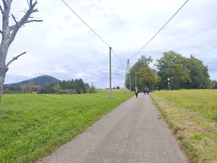 Fotografie z Teleki Ferenc na trase