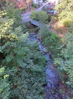 Foto från Albert Grittern under resans gång