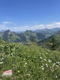 Foto von Martin Reinhard entlang der Tour