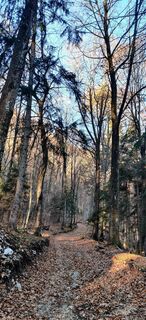 Foto von Daniele Spezia entlang der Tour