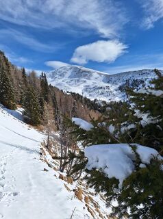 Fotografia z Dagmar Hofer na trase