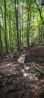 Fotó a ReginaSt honlapról a túra során