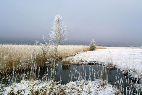 Winterwanderweg Pulvermoos