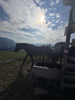 Foto de Linus Friedmann a lo largo del recorrido