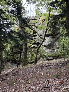 Fotografie de la Helmut Schellmann de-a lungul turului
