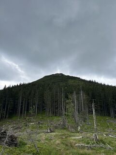 Foto von Andrea Opitz-Jandrisits entlang der Tour