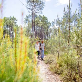 lac-hostens-sud-gironde-agence-les-conteurs-76