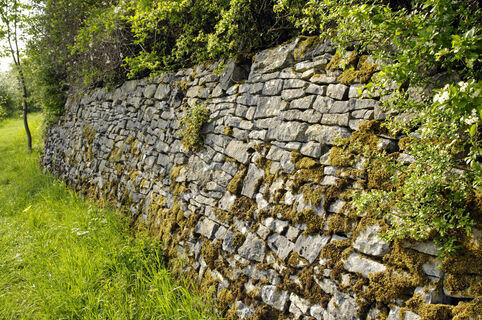 Trockenmauer am Kreuzweg Jakobsberg