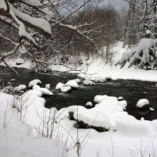 idyllische Winterlandschaft an der Ill