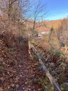 Fotografia z TallWanderBilly na trase