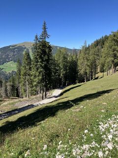 Foto van andrea calabria langs de tour