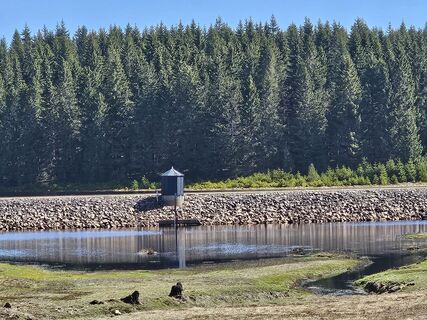 Fotografia z Dagmar Beierlein na trase