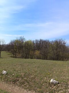 Foto de Julika Jármer a lo largo del recorrido