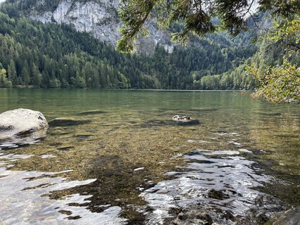 Fotografia z Natur_erleben_dg na trase