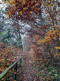 Photo de Erika Roithmayr le long du parcours