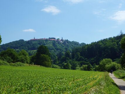 Neckartalradweg bei Neckargemünd mit Blick zum Dilsberg