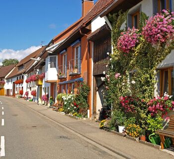 Bachheim