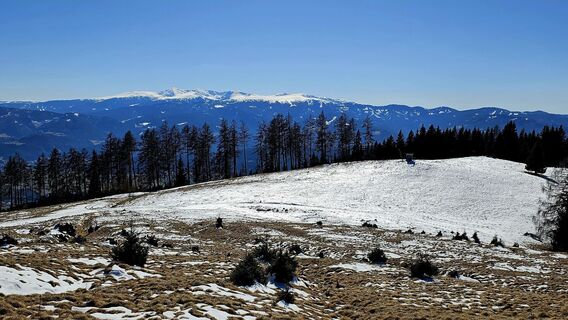 Photo de Andrea Ruckhofer le long du parcours