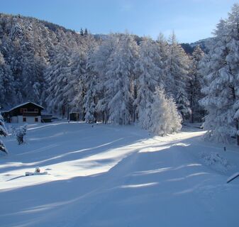 Bodma Winterwanderweg in Visperterminen