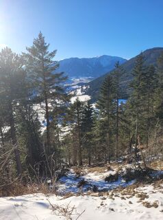 Photo de Anita Stadtherr le long du parcours