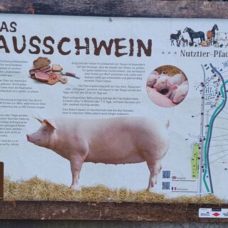 Nutztierpfad Gutach Turm