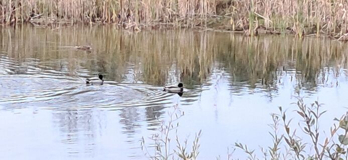 Foto von Buchegger Barbara entlang der Tour