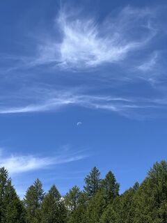 Foto da Aurelian Böhler lungo il tour