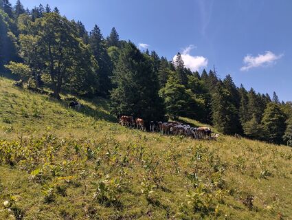Foto von multibeat entlang der Tour