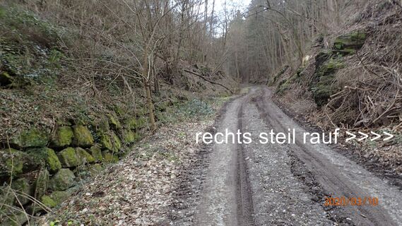 Aufstieg im Mauertal
