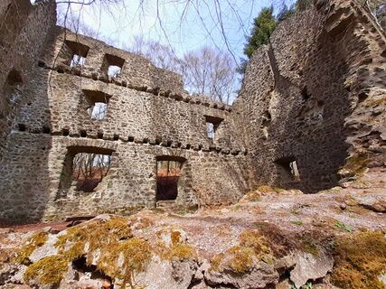 Burgruine Freudenkoppe (2)