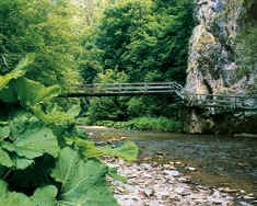 Wegverlauf durch die Klamm.