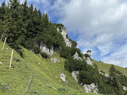 Foto von justasimpleguy entlang der Tour