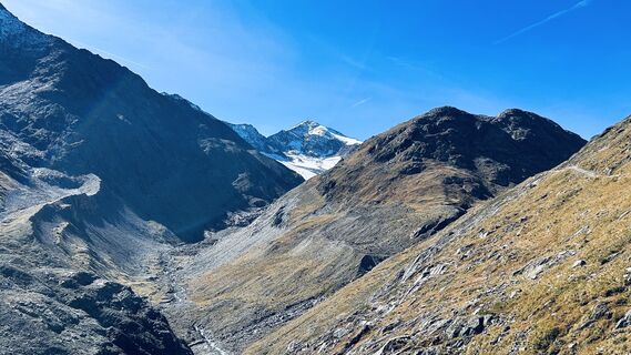 Foto von Blue Chili entlang der Tour