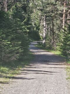 Fotografija s spletne strani Michaela Kuntner na poti