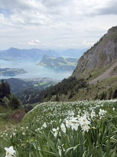 Foto von lessii__96 entlang der Tour