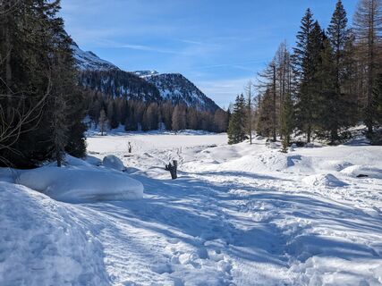 Passo San Pellegrino - See ©Archivio APT Val di Fassa
