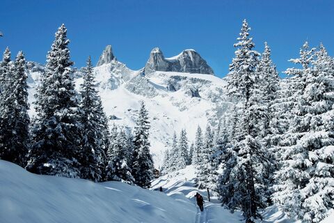 Drei Türme im Gauertal