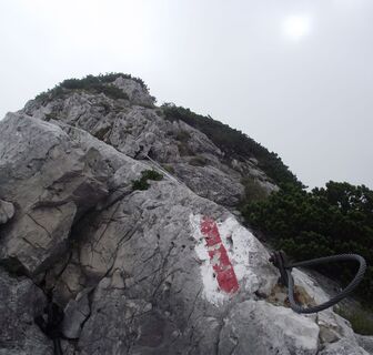 Inzell/Chiemgau: Bei der Staufenüberquerung dienen einige Seilsicherungen vom Mittelstaufen zum Zwiesel Hilfestellung