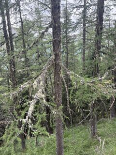 Foto von Andreas Kogler entlang der Tour