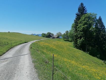 Foto von Turbinio entlang der Tour