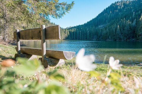 Auerlingsee