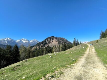 Fotografija s spletne strani David Hincziza na poti