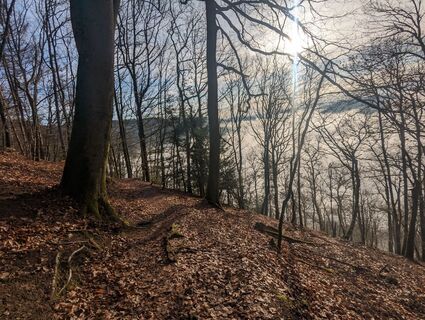 Foto von Andreas Reiher entlang der Tour