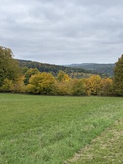 Foto de Günter Ritzer a lo largo del recorrido