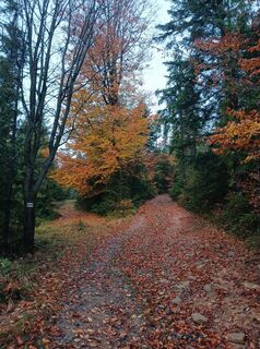 Foto de Daniel Kremiec a lo largo del recorrido