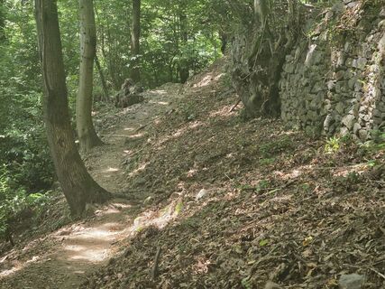 Photo de Roswitha Wawerla le long du parcours