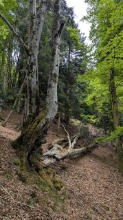 Photo de Richard Schwald le long du parcours