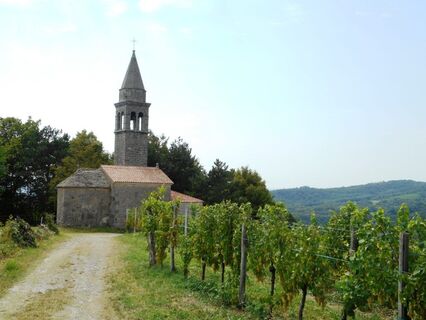 Zemljevid