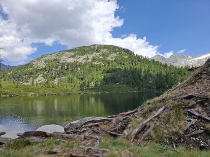 Fotografija s spletne strani Magnus Moser na poti
